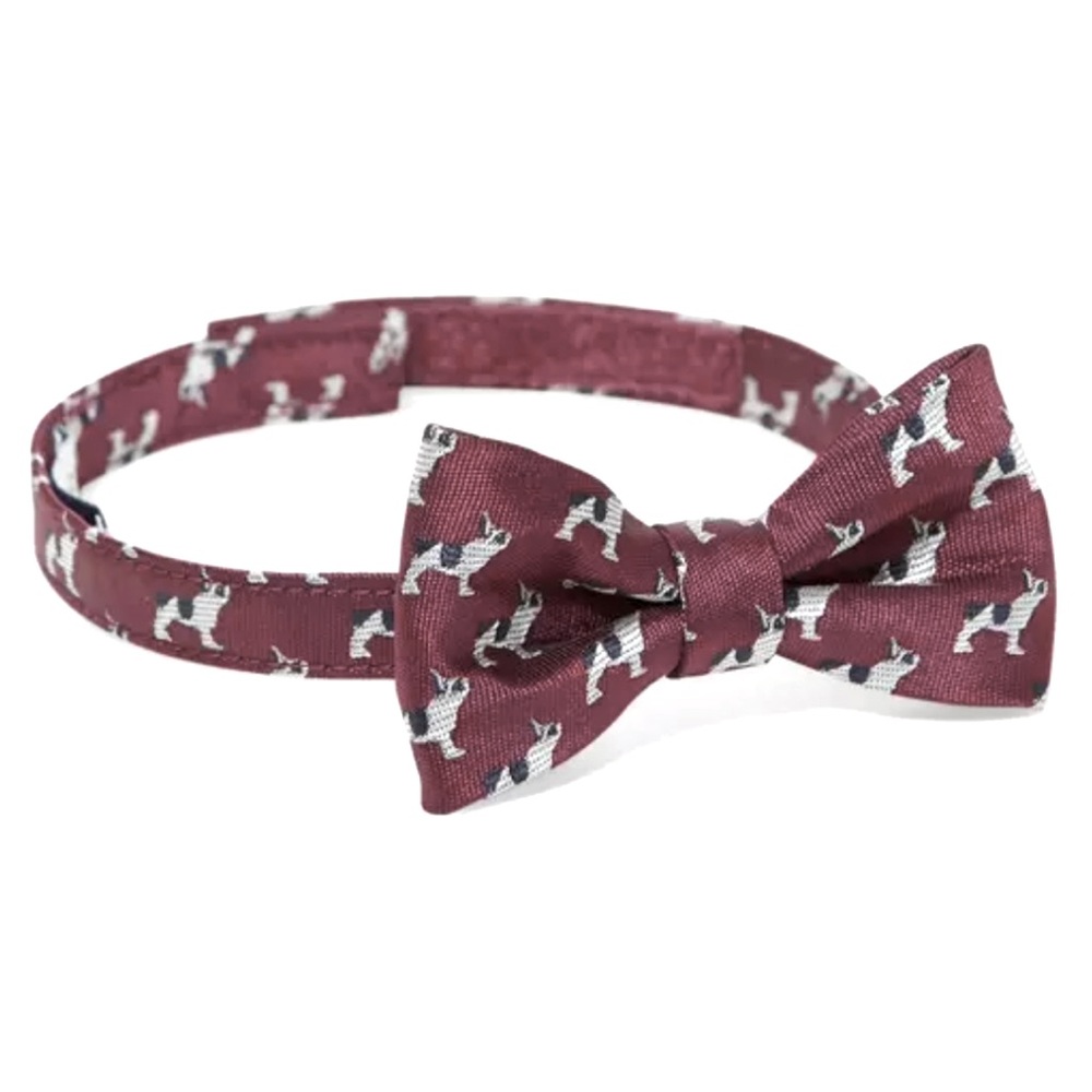 BNWT JANIE & JACK TODDLER BOY’S CORDOVAN FRENCHIE BULLDOG BOW TIE SIZE 2T-5T